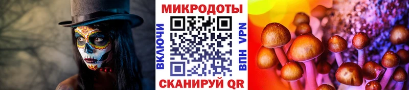 Галлюциногенные грибы мицелий  Бодайбо 